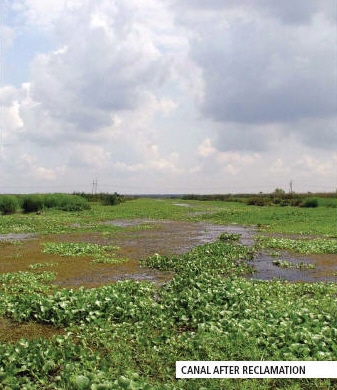 Canal after reclamation