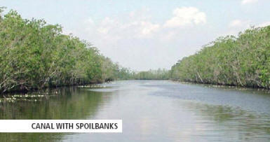 Jean Lafitte NHP, canal with spoilbanks