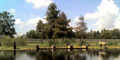 The only remaining piece of the Bayou Segnette State Park cabins.
