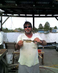 2009 Perch Harvest