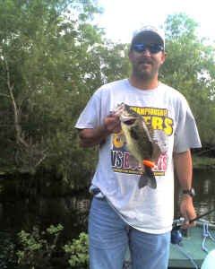 2009 Perch Harvest