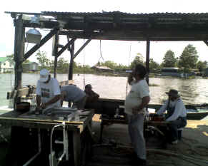 2009 Perch Harvest