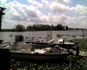 2009 Perch Harvest