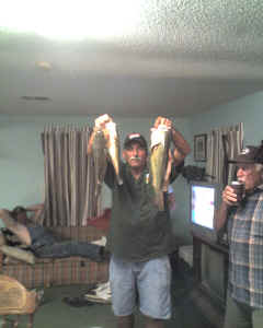 2009 Perch Harvest