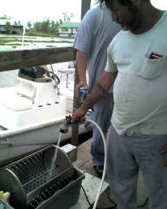 2009 Perch Harvest