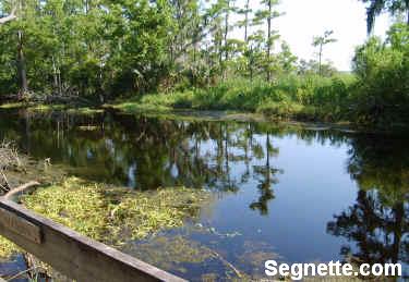 Jean Lafitte NHP