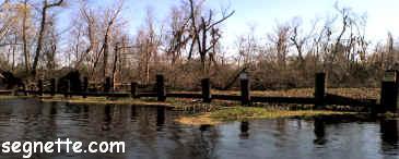 Gated Canal in Westwego, Louisiana