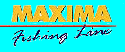 Maxima Lines