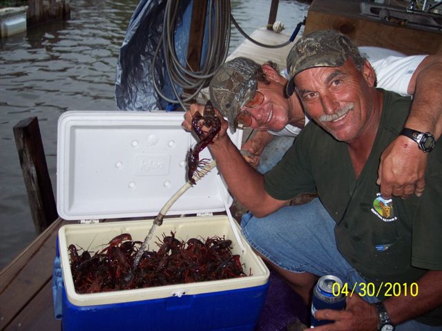 2010 Perch Harvest